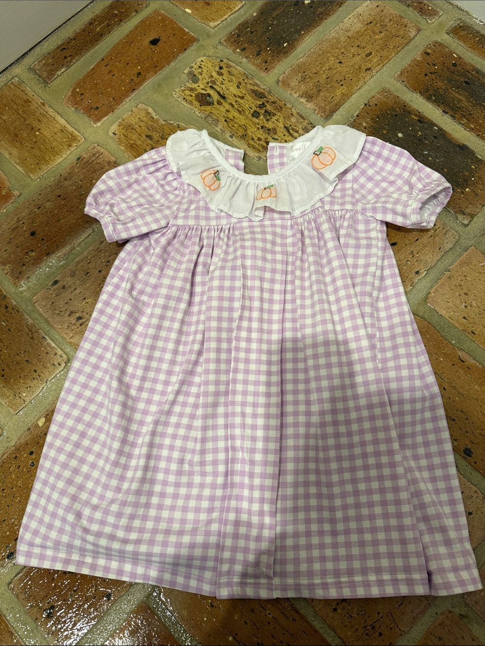 Cecil and Lou Pumpkin Dress Size 4T